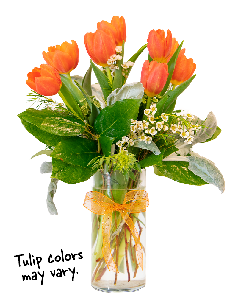 Timeless Tulips Floral Arrangement from $70-$100