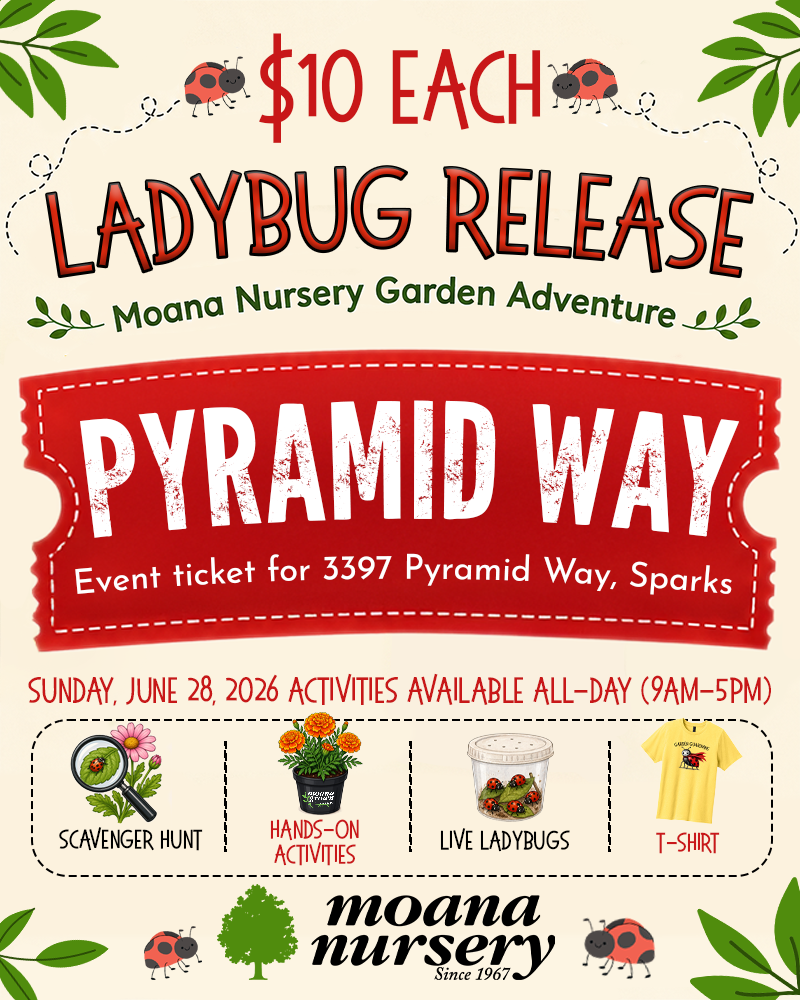 Ladybug Release: Pyramid Way Garden Adventure Ticket (3397 Pyramid Way, Sparks)