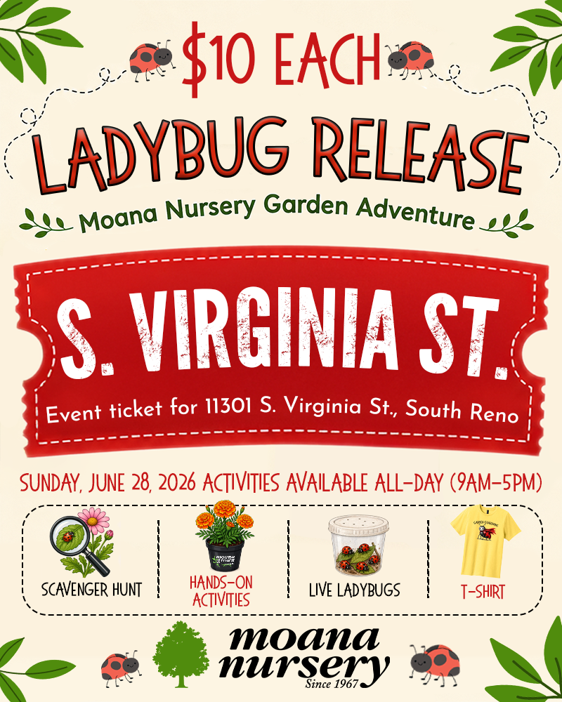 Ladybug Release: South Virginia St. Garden Adventure Ticket (11301 S. Virginia St., South Reno)