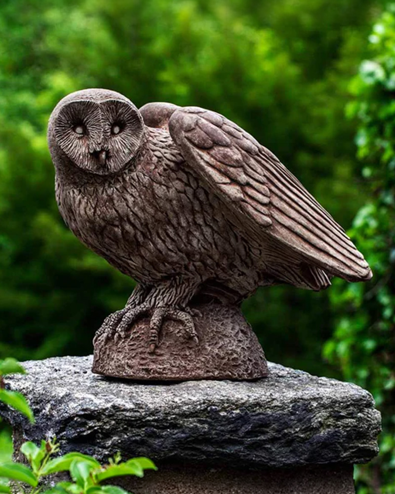 Barny Owl