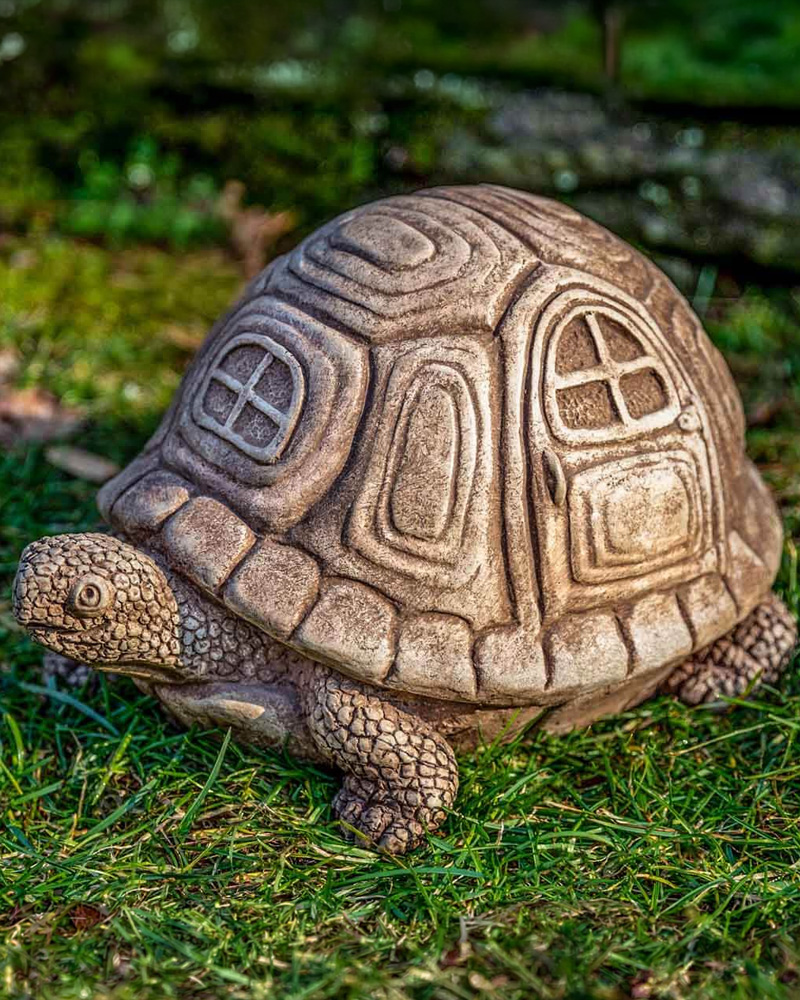 Traveling Turtle