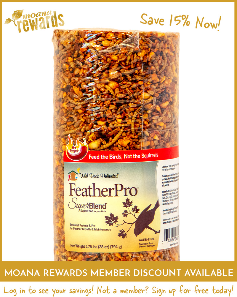Hot Pepper FeatherPro Birdseed Cylinder Small