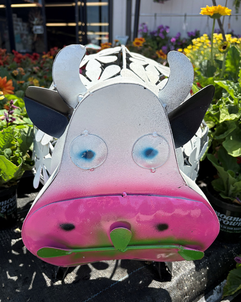 Cow with Flowers