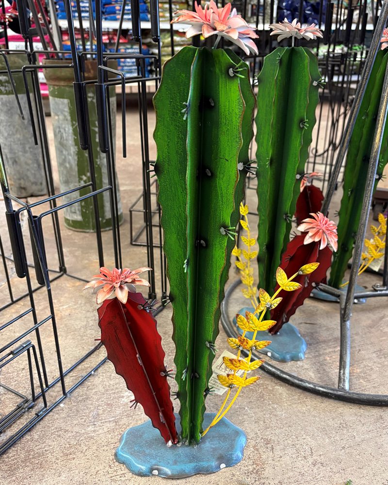 Cactus 22"