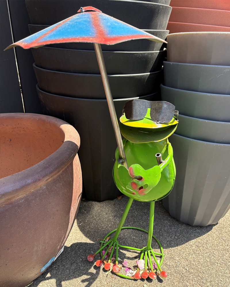 Frog with Umbrella