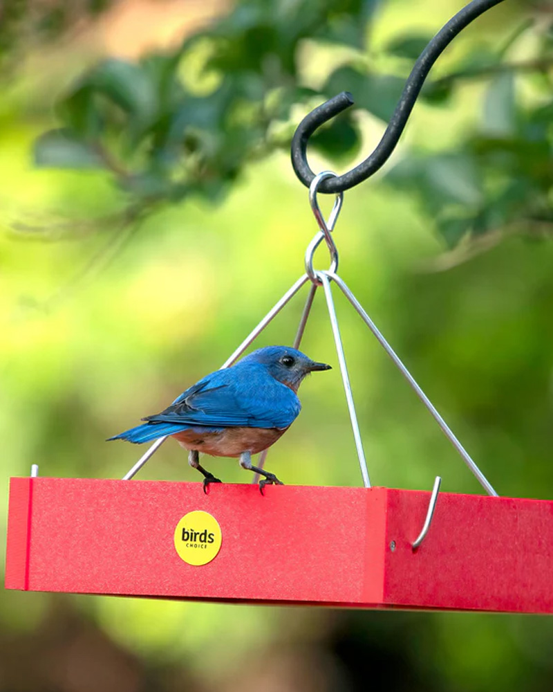 Hanging Tray Feeder Red