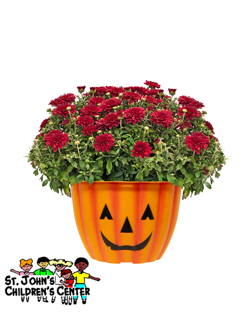 St. John's Children's Center Mini-Mum