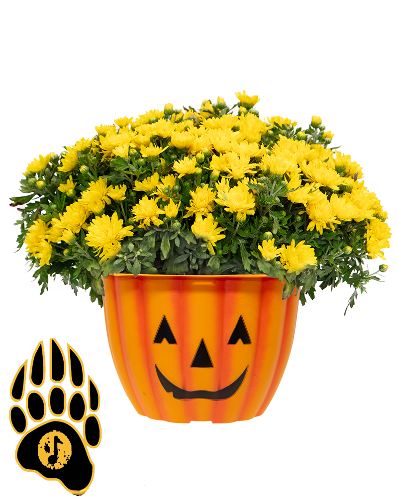 Galena Grizzly Band Boosters Maxi-Mum