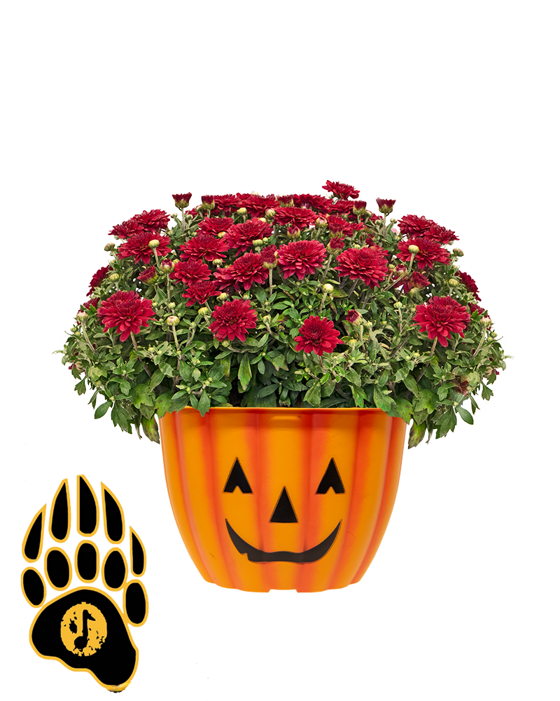 Galena Grizzly Band Boosters Mini-Mum