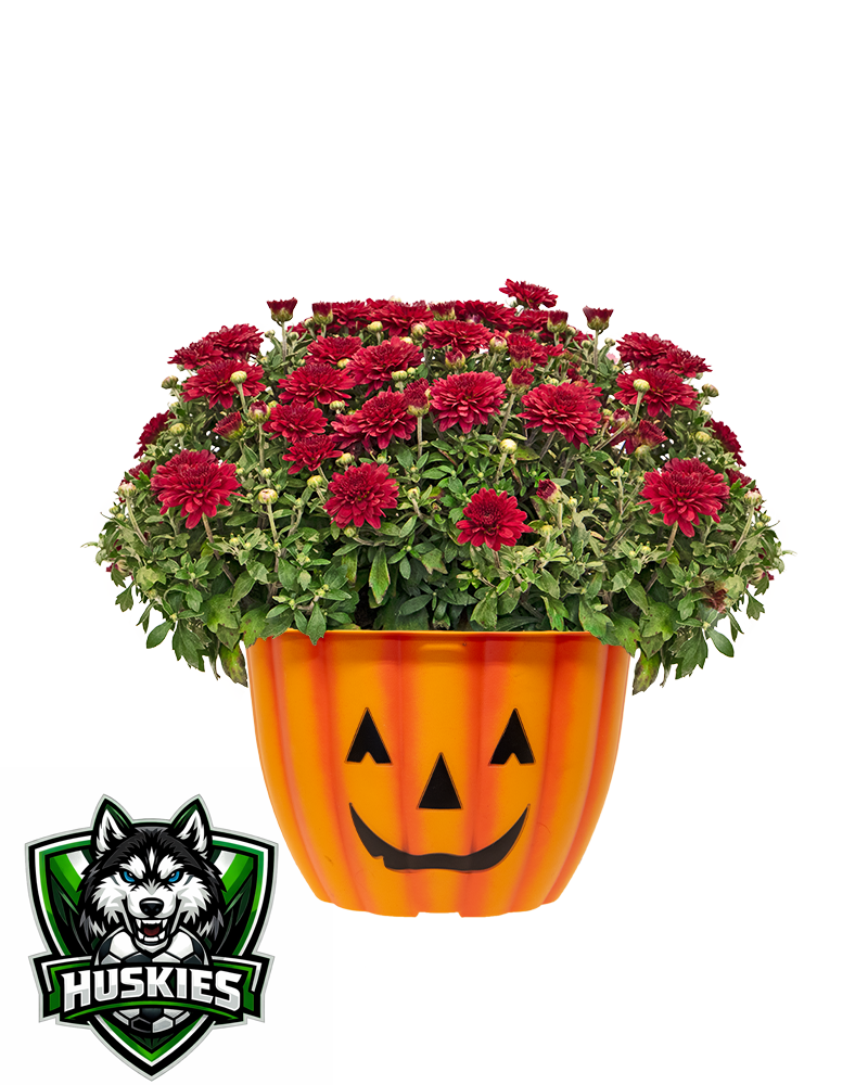 Hunsberger Elementary School Mini-Mum