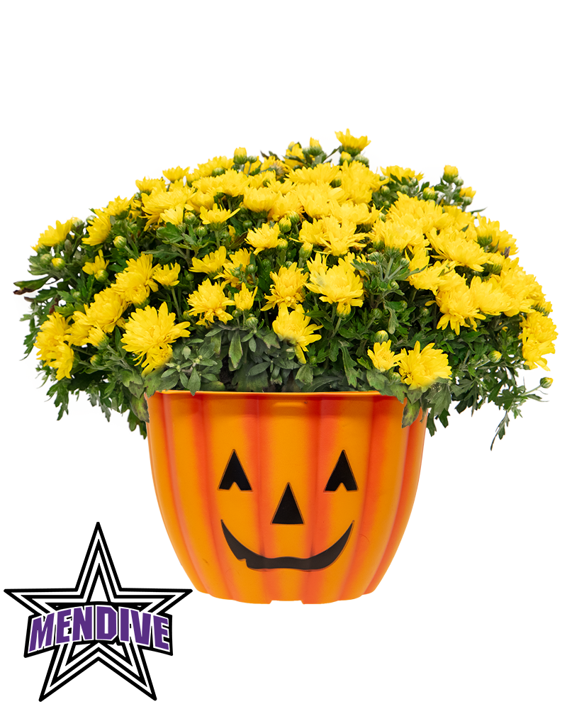 Mendive Middle School Maxi-Mum