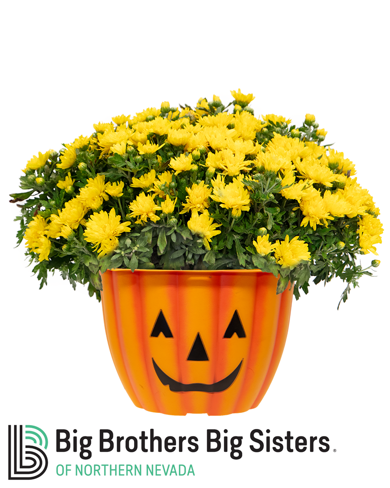 Big Brothers Big Sisters of Northern Nevada Max-Mum