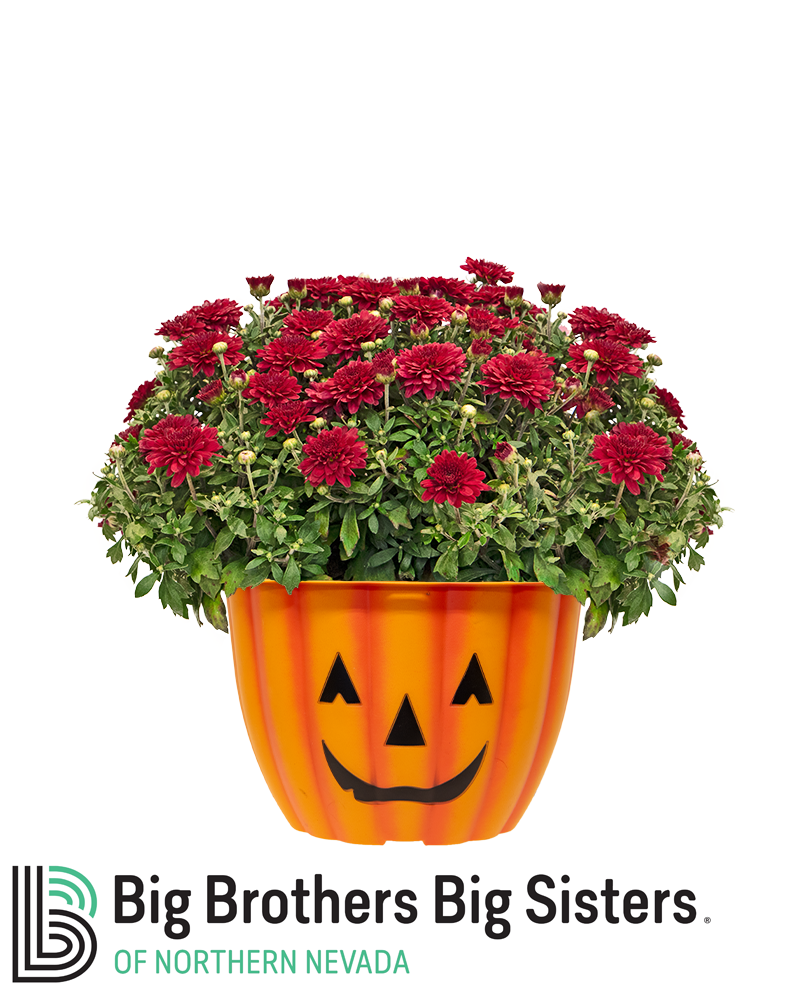 Big Brothers Big Sisters of Northern Nevada Mini-Mum