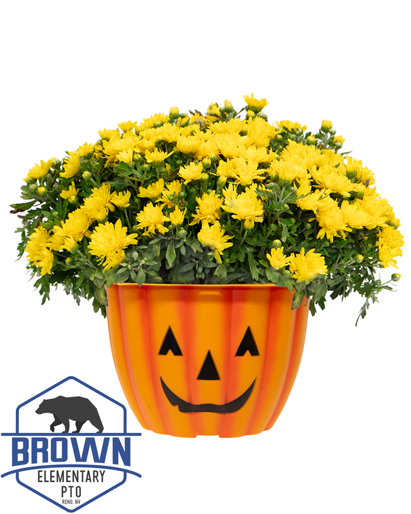 Brown Elementary School PTO Maxi-Mum