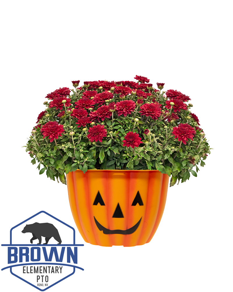 Brown Elementary School PTO Mini-Mum