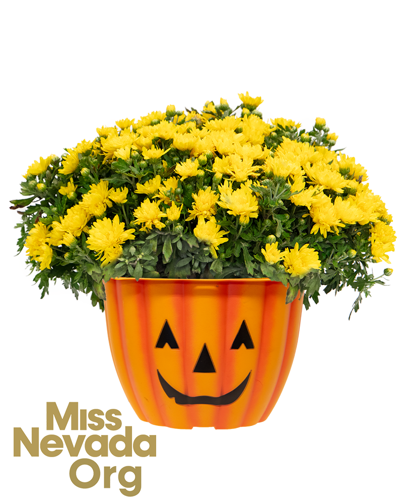 Miss Nevada Scholarship Organization Maxi-Mum