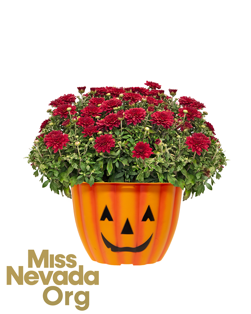 Miss Nevada Scholarship Organization Mini-Mum