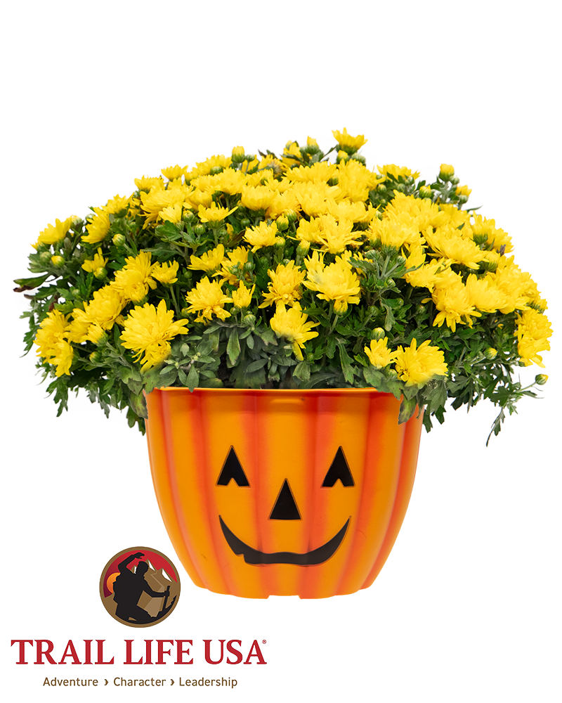 Trail Life NV0251 Maxi-Mum