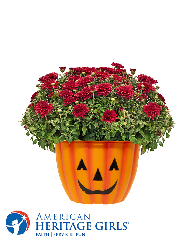 American Heritage Girls Mini-Mum