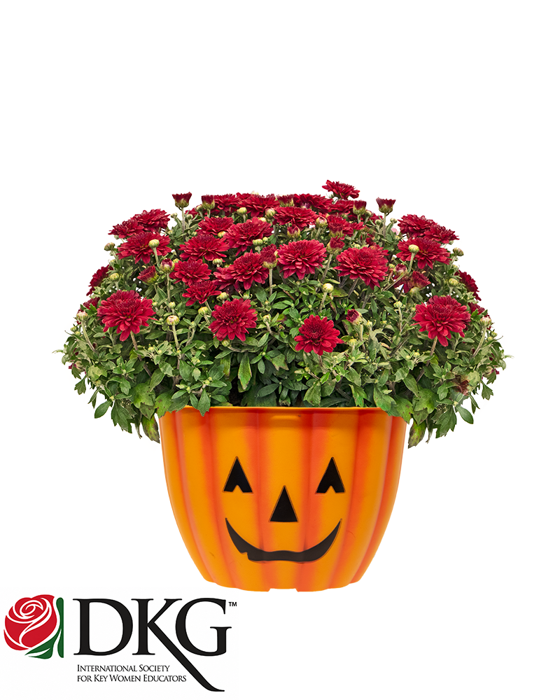 Delta Kappa Gamma - Xi Chapter Mini-Mum