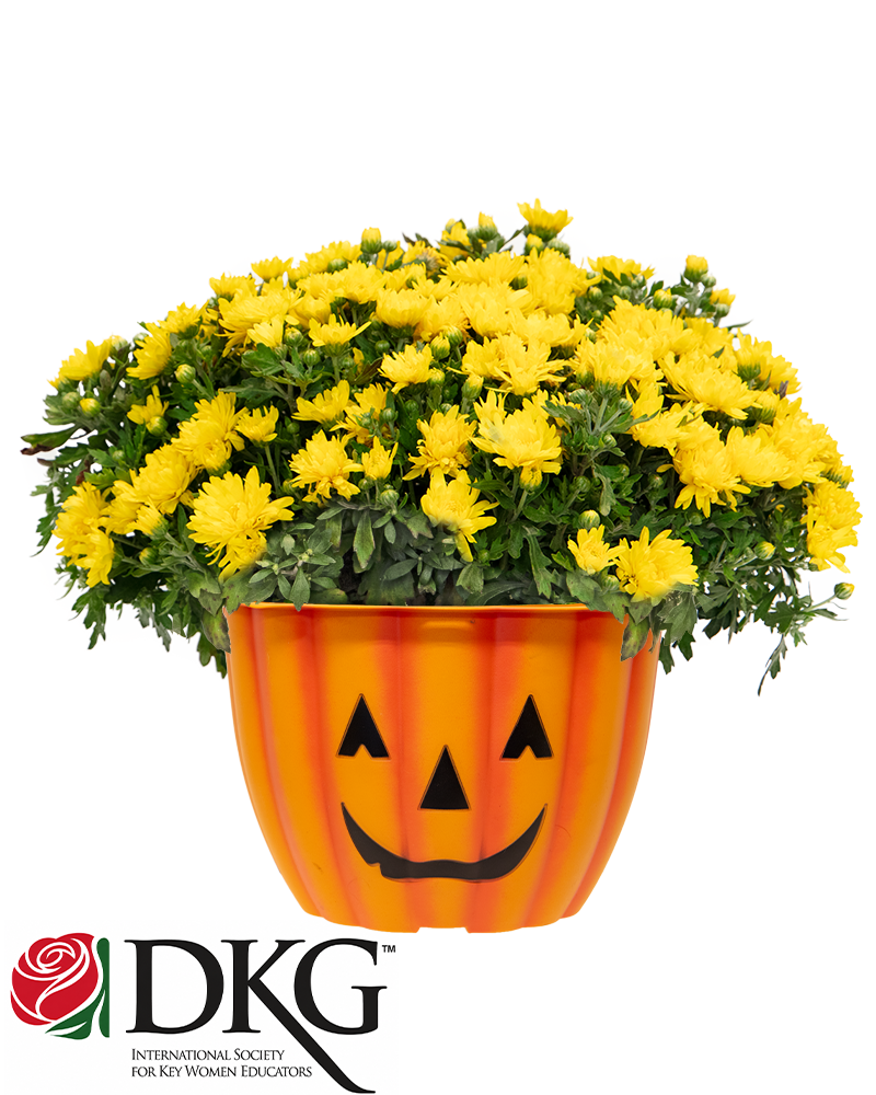 Delta Kappa Gamma - Xi Chapter Maxi-Mum