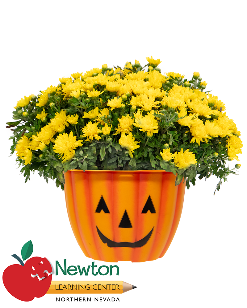 Newton Learning Center of Northern NV Maxi-Mum
