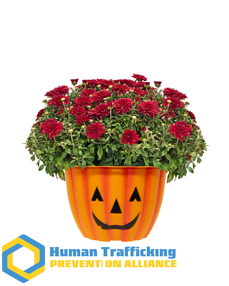 Human Trafficking Prevention Alliance (HTPA) Mini-Mum