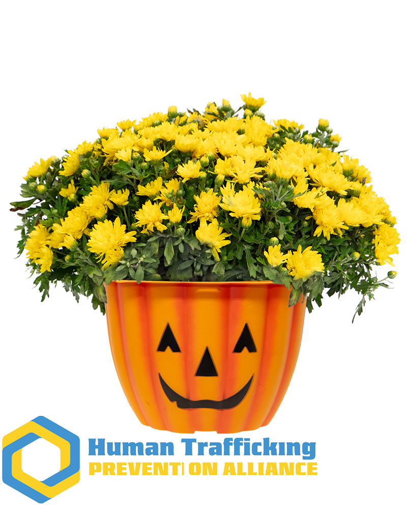 Human Trafficking Prevention Alliance (HTPA) Maxi-Mum