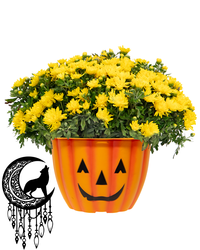Sarah Winnemucca PTO Maxi-Mum