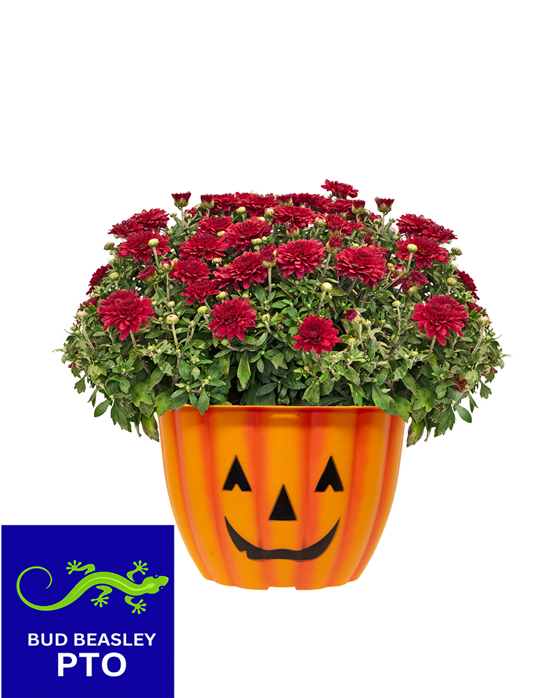 Bud Beasley PTO Mini-Mum
