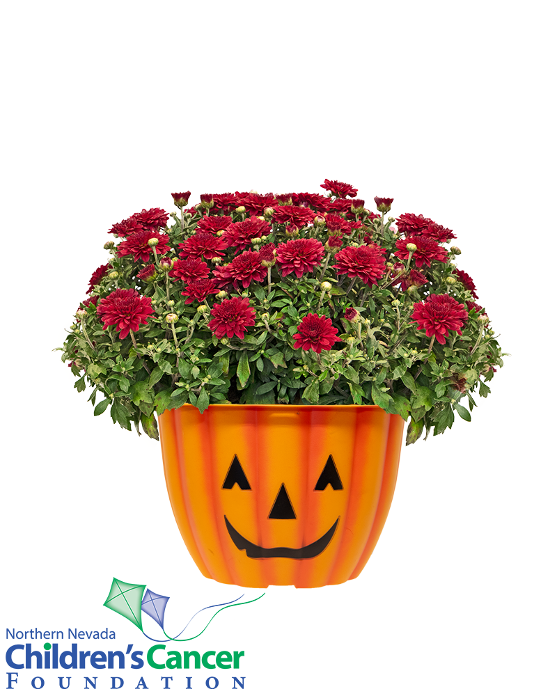 Northern Nevada Children's Cancer Foundation Mini-Mum