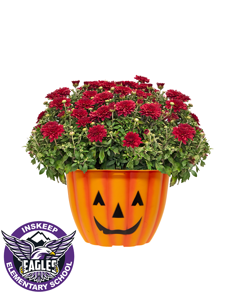Michael Inskeep Elementary School Mini-Mum