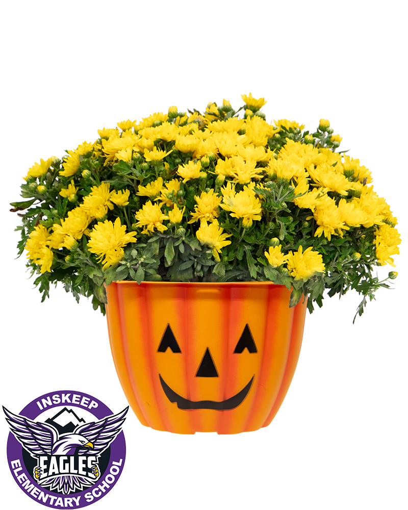 Michael Inskeep Elementary School Maxi-Mum