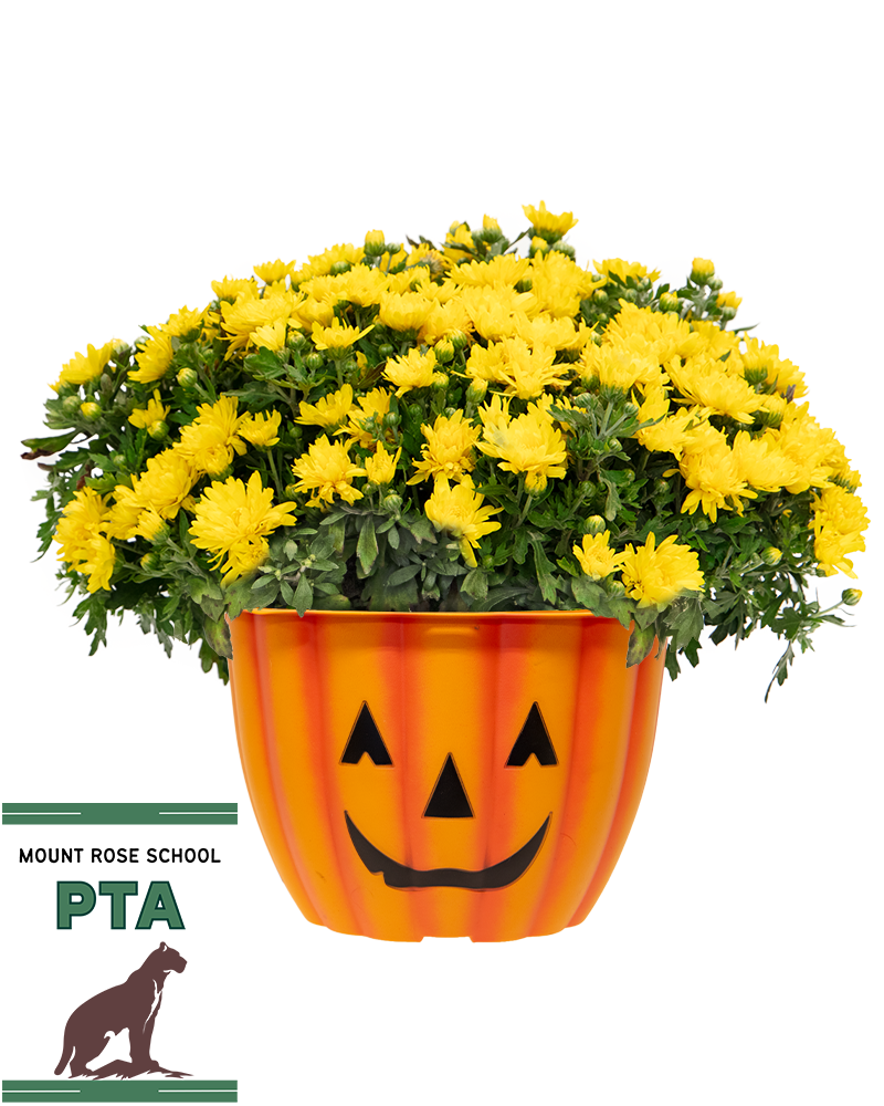 Mount Rose School PTA Maxi-Mum