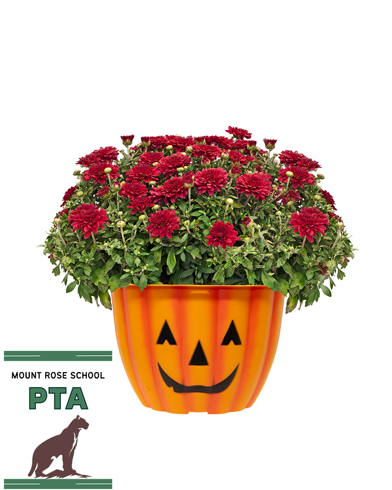 Mount Rose School PTA Mini-Mum