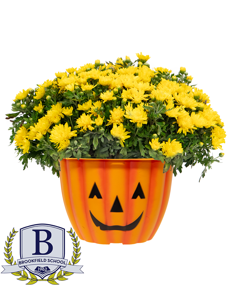 Brookfield PTA Maxi-Mum