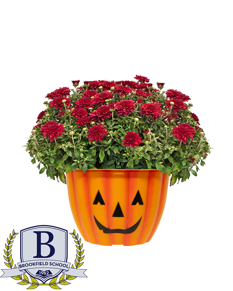 Brookfield PTA Mini-Mum