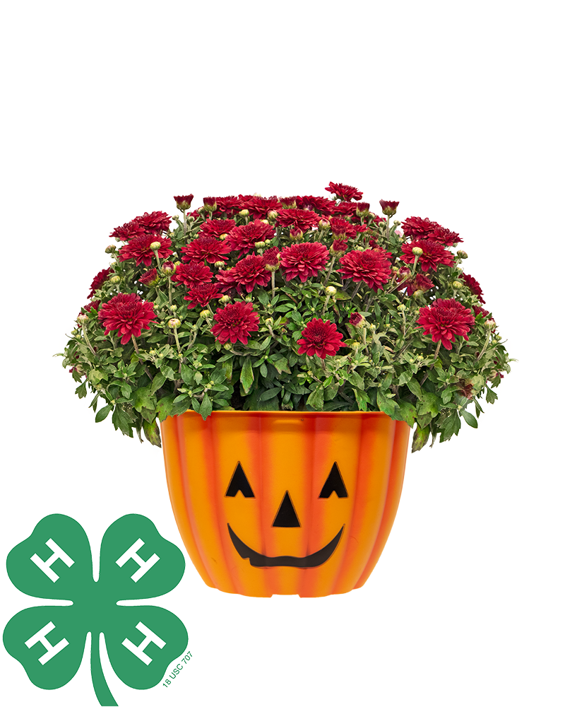 4-H Lyon County Leaders Council Mini-Mum