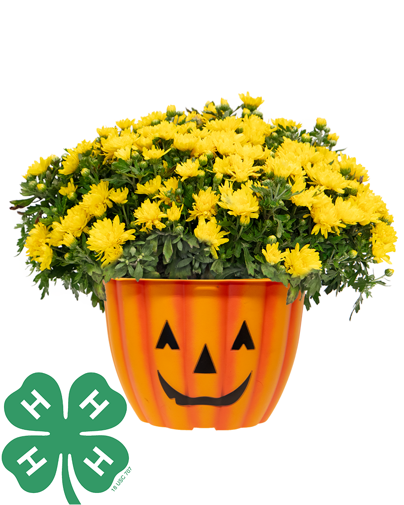 4-H Lyon County Leaders Council Maxi-Mum
