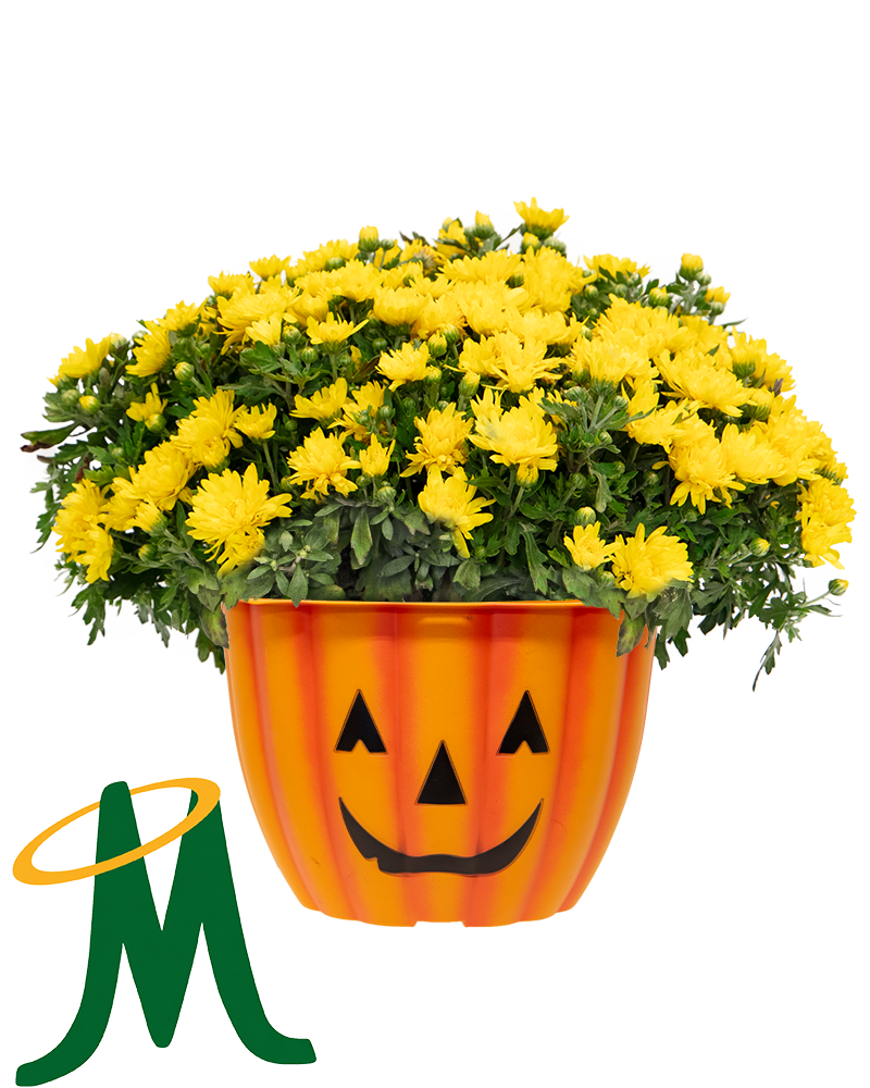 9U Bishop Manogue Maxi-Mum