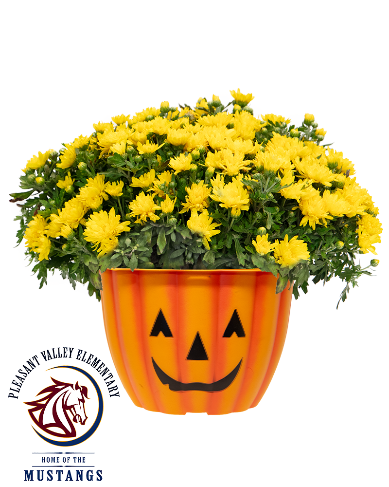 Pleasant Valley PTA Maxi-Mum