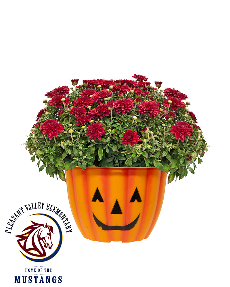 Pleasant Valley PTA Mini-Mum