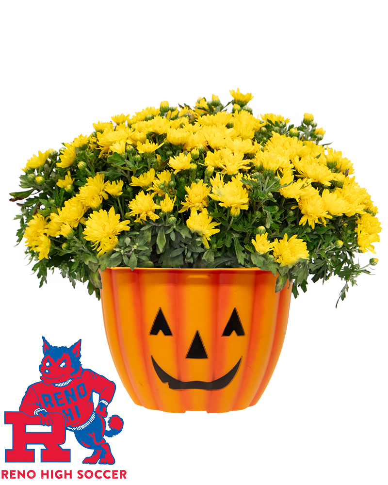 Reno High Soccer Maxi-Mum
