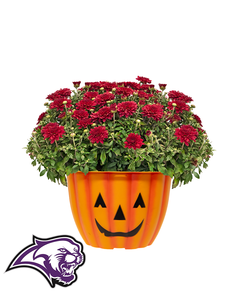9U Cougars - Cable Mini-Mum