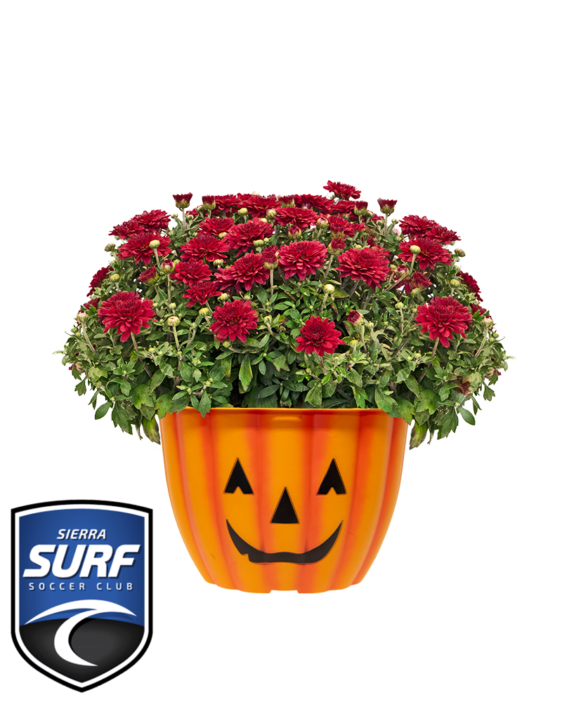 Sierra Surf Soccer Club Mini-Mum