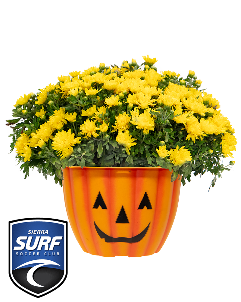 Sierra Surf Soccer Club Maxi-Mum