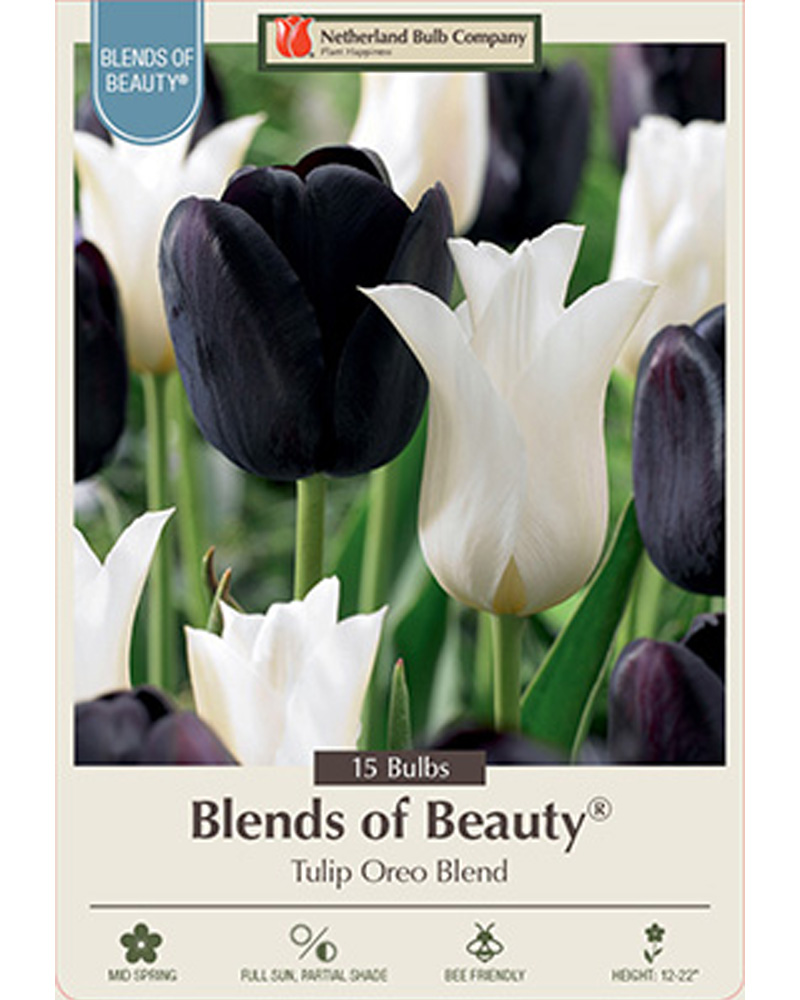 Tulip Oreo Blend