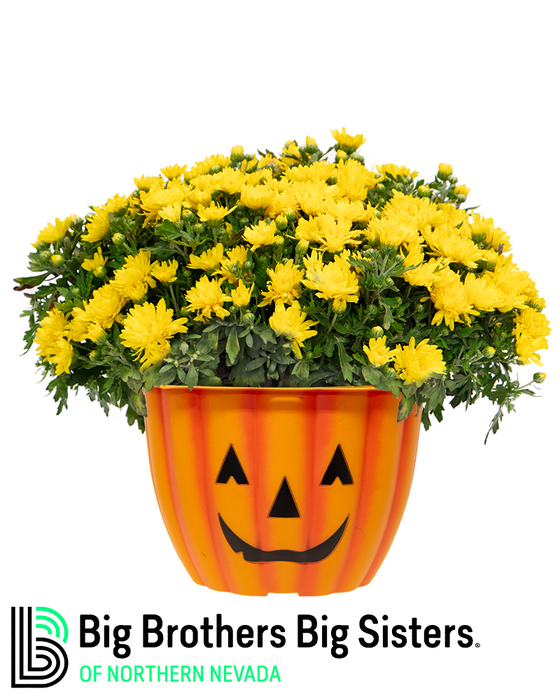 Big Brothers Big Sisters of Northern Nevada Maxi-Mum