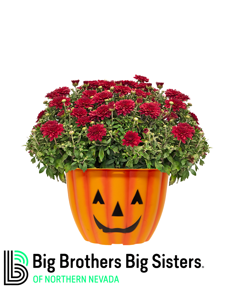 Big Brothers Big Sisters of Northern Nevada Mini-Mum