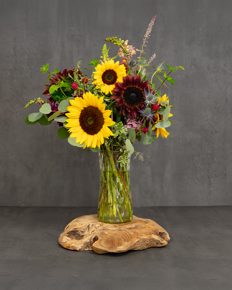Sunflower Harvest
